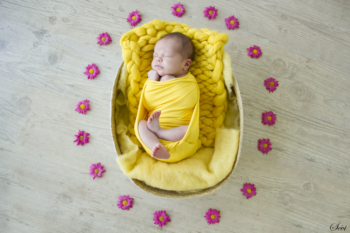 Pic saint loup montpellier bébé emmailloté dans panier jaune fleurs