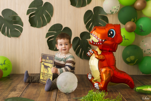 photographe pic saint loup montpellier hérault shooting anniversaire dinosaure