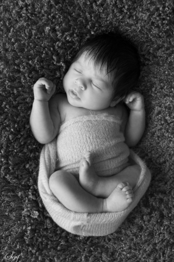 Pic saint loup montpellier photographe bébé emmailloté noir et blanc